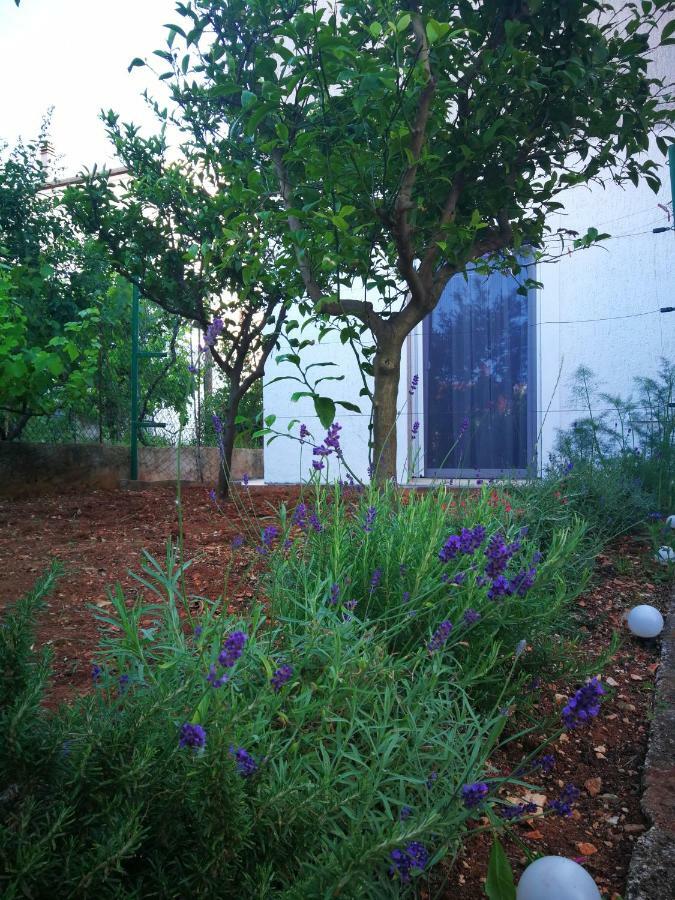 Griva Studio Apartman Zadar Exterior photo